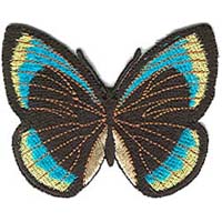 butterflyappliqueblackblue.jpg